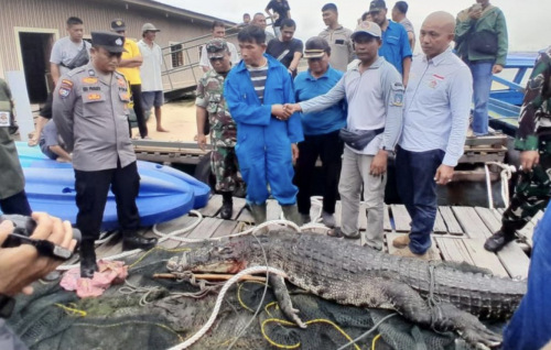 Indonesia ge farm akun kinboothakeh filumun salaamathee fiyavalhuthah varugadhakohffi