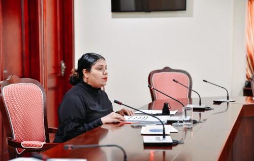 13 Aharuge kujjaa maraali mahssalaigai gender committee inn dhuhvvaigathee media thah fahathun!
