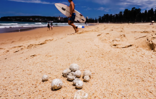 Anehkkaaves goiyneyngey kudhi boalhathakeh fenigen Sydney ge beach thah bandhukuranee