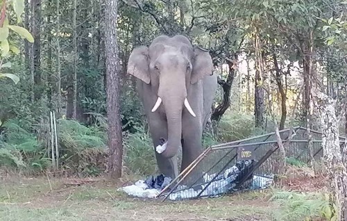 Etheh dhin hamalaehggai meehaku maruvumunThailand ge national park bandhukohffi