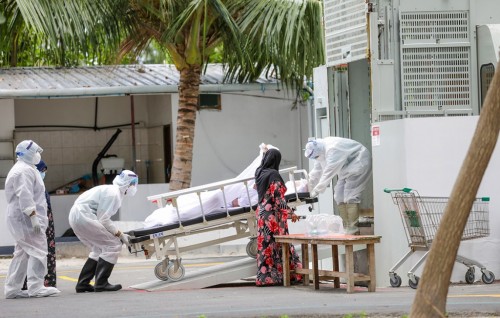 Another 36 people recovers from COVID, total recoveries to 14,064