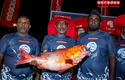 Ooredoo opens Masrace 2024 registrations
