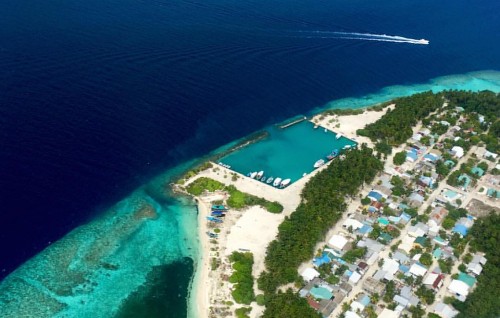 Dhonfanu ge bin nuhikkan Raees ninmavaifi