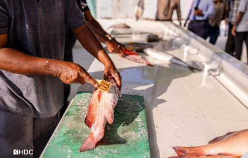 Roadha ah Hulhumale' phase 2 gai mas market akaai local market eh hulhuvaifi