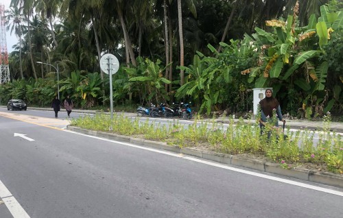Covid ah positive vaa meehunge adhadhu ginave L. Fonadhoo monitoring ah
