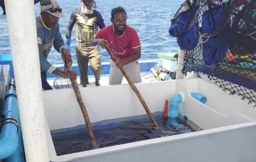 Ene gengulhumaa behey dhiraasaaeh Japan sarukaaruge eheegai fashaifi