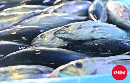 Mahuge export 67 percent dhah vejje 