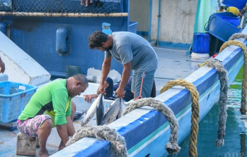 Income support ge gothugai masverinnah 8.4 million rufiyaa dhookoffi