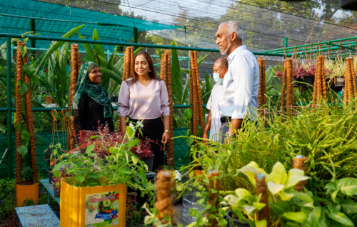 Community garden in dhookoffaivaa golheege kuli 500 ah kuda koffi