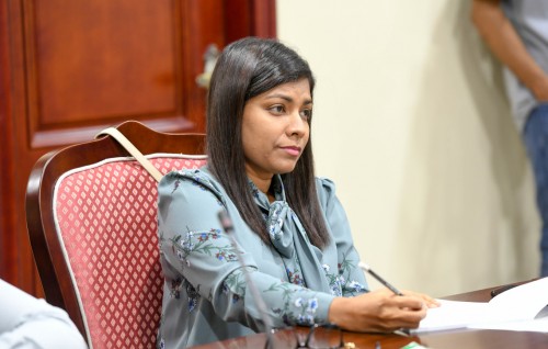 Addu jinsee goanaa ge massala majlis committee in balan edhijje