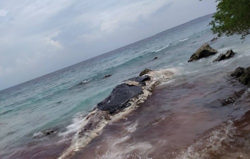 Thakandhoo ah bodu maheh lahgaifi