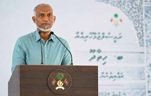 Natheejaa neredheynan, rayyithunge unmeedhu thah hageegathakah hadhaidheynan: Raees