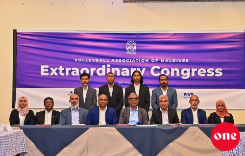One Photo: Volley association ge congress