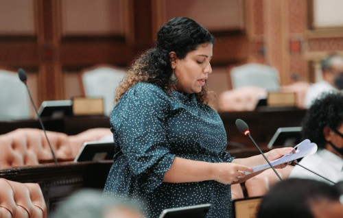 Meehun traffic koggen hoadhaa mudhalaai faisaa dhaulathah negeygothah gaanoonah islaah hushahalhaifi