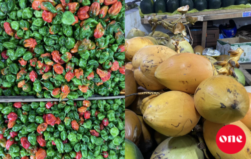 Roadha 2 baazaaru aguthah: Kan'doodhoo miruhuge agu dhashah, Kurun'baa ge agu ufulijje