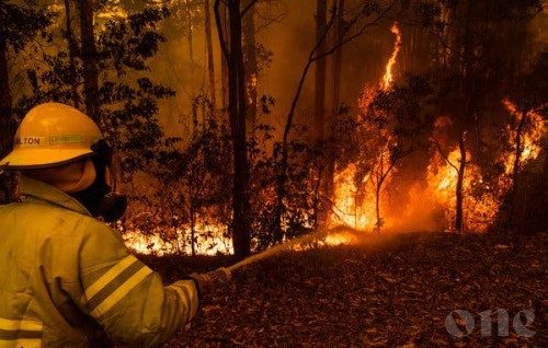 Australia bushfires fundraiser reaches A$20m in 48 hours