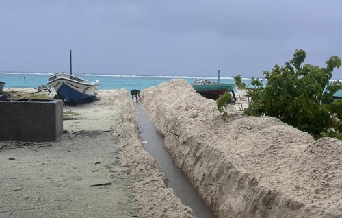 Gadha vihssaaraigai Kelaa fenuadeegai, 30 ge'eh haalugai jehi, najisfen aranee
