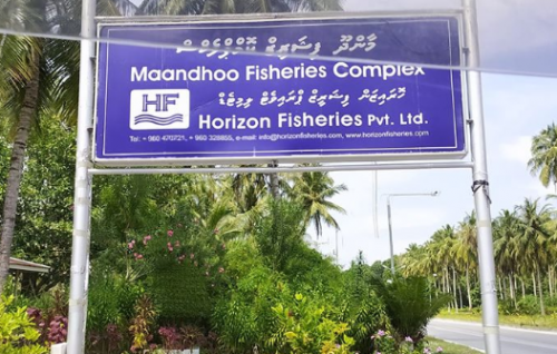 Maandhoo in mas ganna agu heyokoh, mas kirun limit kohfi
