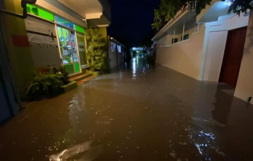 Mi mahu kuri vissaaraigai 84 geakah gellun