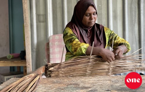 Raajjey ge private sector gai vazeefaa adhaakuraa meehunge 59 percent akee anhenun: survey