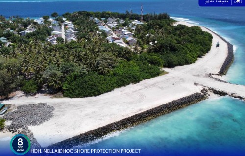 Nellaidhoo gondudhoh himaayaiy kurumuge mashroou ge bodu baeh ninmaalaifi