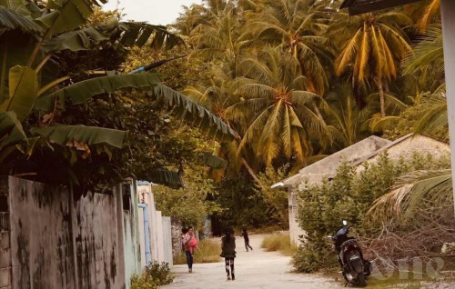 10 aharuge kujjakah ihumaaluvi massala eh balanee