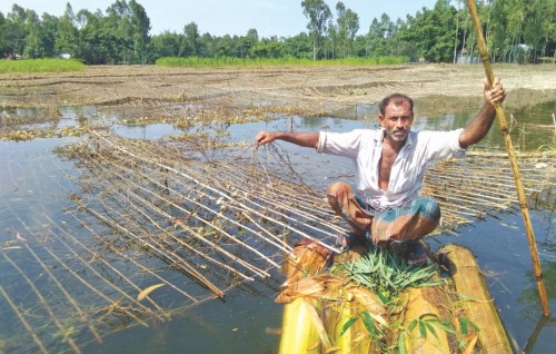 Bangladesh gai fen boduvumuge sababun 1.1 million tonne ge handoo halaaku versus jje