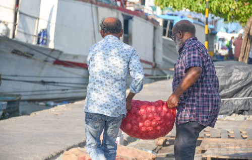 STO in fiyaa basthaa eh vihkaa agu 100 rufiyaa ah kudakoffi