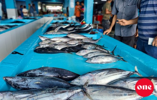 Roadha 18, ONE Roadha Baazaaru: Masverikan dhahve, mahuge agu madumadun ufulen fashaifi