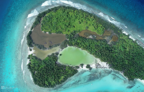 Sh. Farukolhu in gavaidhaa hilaafah veli nagamundhaat massala balan fashaifi