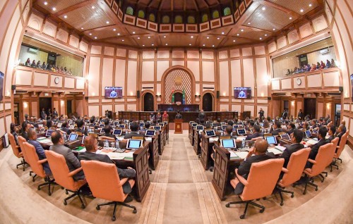 Parliament passes committees, appoints members