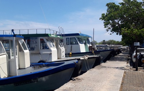 Male uthuru faraathu falhu thereygai huri sathari dhoani thah nagan angaifi, odiveringe hiyhama nujehun