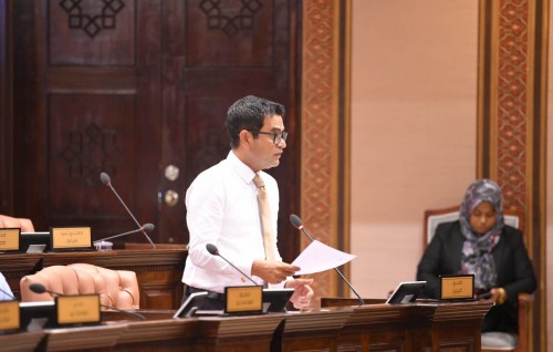 Bimuge bill in raees aai minister ah bodethi baaruthakeh dheyn vanee himanaifa: Saleem