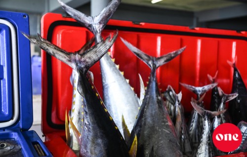 Hulhumale' gai sarukaarun bodukanneli factory eh hadhanee