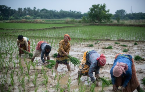 India in handoo export kurun madujahssaalaifi