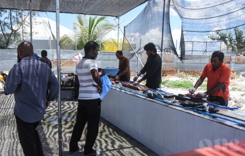 Hulhumale' vaguthee mas market hingaane faraatheh hoadhanee