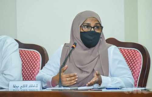 Aasandha inn faisaa ge ehee dhookurumugai bodethi goasthakeh vanee hadhaafai: Audit