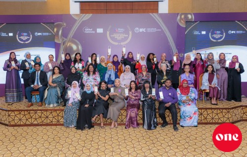 WIM ''Professional and Career Women Awards 2024 '' baavvaifi