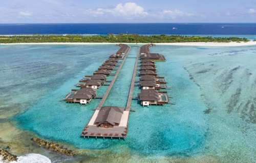 Sun island aai Paradise Island Rebrand koffi