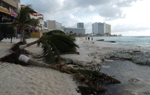 Thoofaan Milton: Florida inn 4 meehaku maruve, ethah million bayaku haalugai jehijje