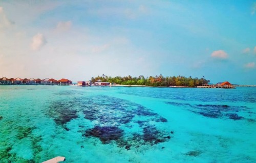 Kalhudhiyafushi vihkaalan anehkaaves iulaan koffi