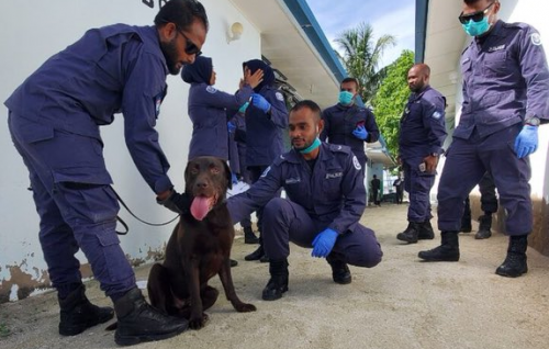 BREAKING: Kuhthaa beynunkohgen MPL thereygai fuluhun bodu operation eh hinganee