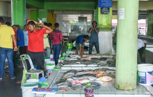 Farumas baanaa meehunnah 700,000 Rufiyaa ge loan dhookuran fashaifi