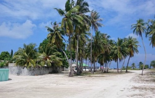 Manadhoo inn maruvi meehaage hashigan'dun bodethi zahamthakeh, huhdha nethi rashah arai feybun manaa