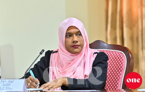 One Photo: Human Rights and Gender Committee ge bahdhaluvun