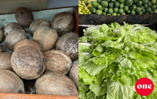 Roadha 14, ONE roadha baazaaru: Lettuce ge agu dhashah, Kaashige agu mahchah!