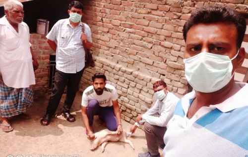 India ge Kerala in Swine flu fenijje