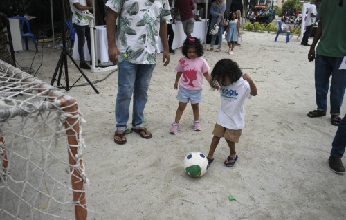 Photo: Tree Top in beyvvi kudakudhin ge haveeru