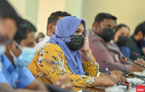 HRCM ah kanda alhaafaivaa 29.8 million rufiyaa ge budget ah 6.3 million ithuru kodhdheyn Committee gai edhijje