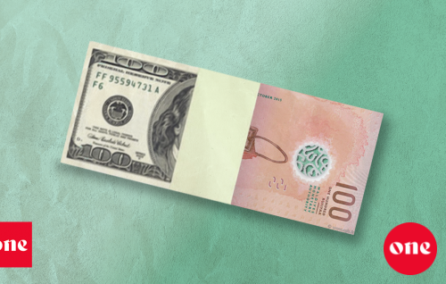 2024 Rewind: Dollar ah salaanjehun nimumakah gennan gaanoonee varugadha fiyavalhuthakeh!
